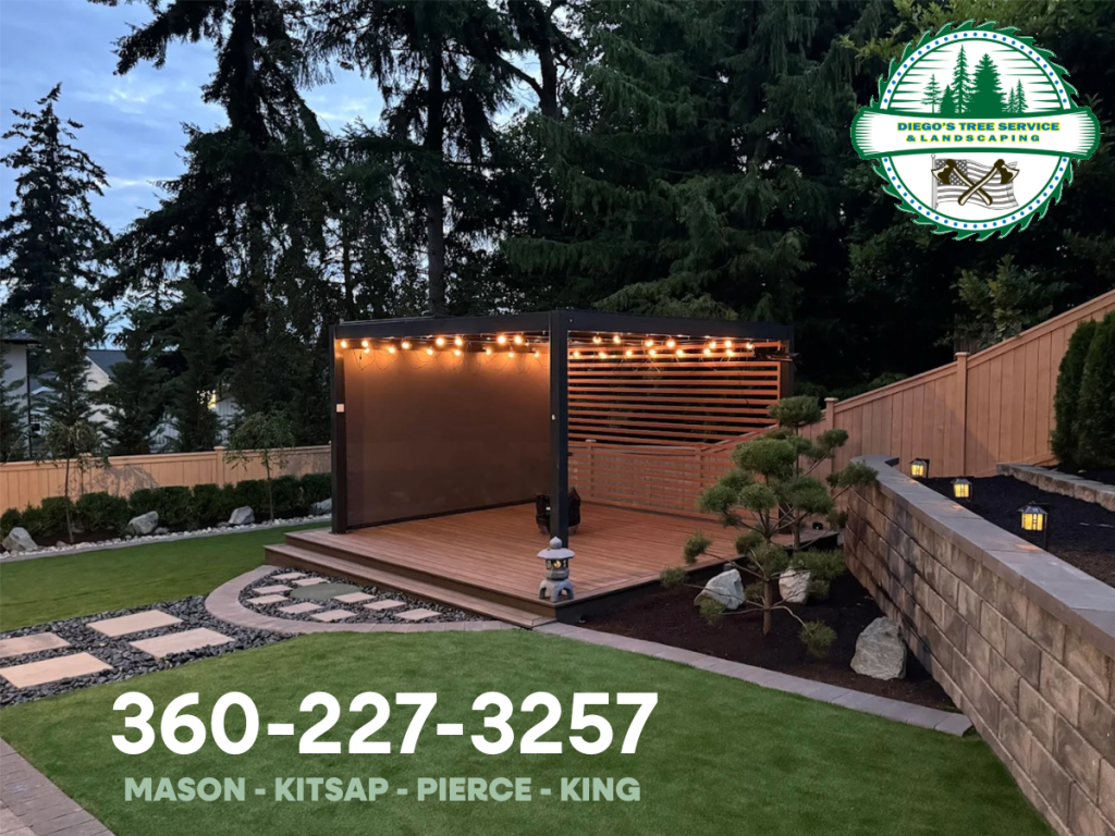 Modern backyard with pergola at dusk